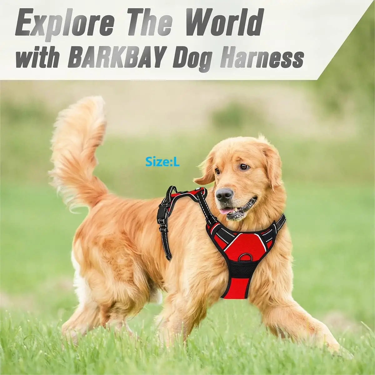 No-Pull Dog Harness | Reflective Front Clip Vest with Easy Control Handle — S / M / L / XL